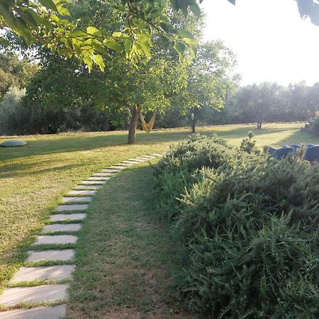 Apartment Kortine Sečovlje Eksteriør bilde