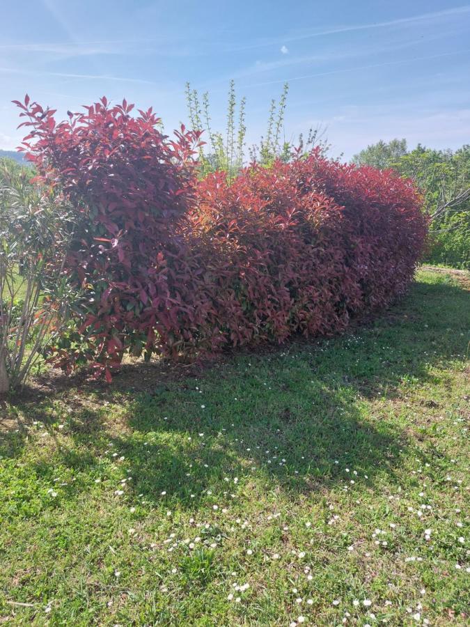 Apartment Kortine Sečovlje Eksteriør bilde