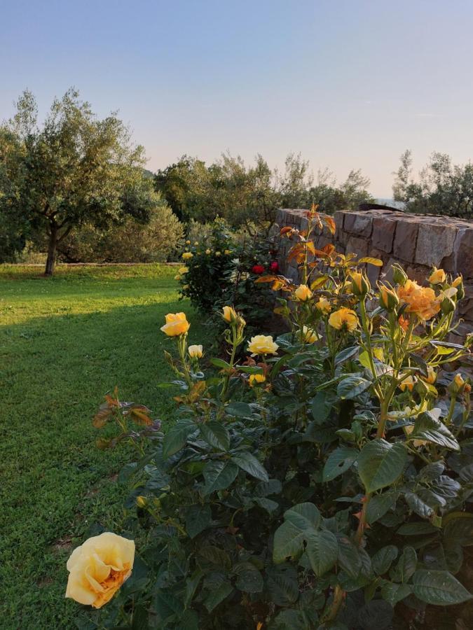 Apartment Kortine Sečovlje Eksteriør bilde